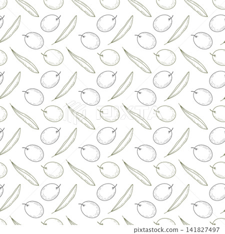 Outline Olive fruits and leaves Seamless pattern Minimalistic engraving style Transparent Background. Isolated Vector illustration Packaging, menu backdrop, fabric print, wallpaper, botanical branding Outline Olive fruits and leaves Seamless pattern Minimalistic engraving style Transparent Background. Isolated Vector illustration Packaging, menu backdrop, fabric print, wallpaper, botanical branding 141827497