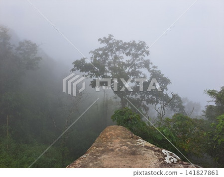 Misty mountain cliff edge with tree in fog. Misty mountain cliff edge with tree in fog. 141827861