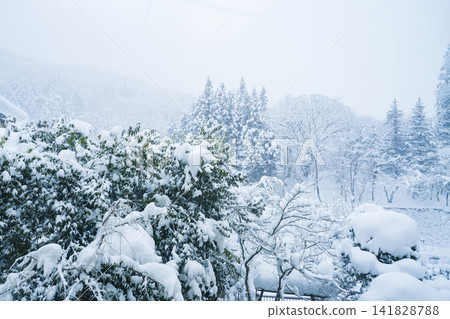白雪皚皚的山巒和樹木(土湯溫泉) 白雪皚皚的山巒和樹木(土湯溫泉) 141828788