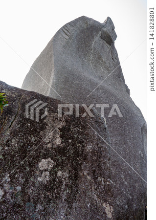 Yakushima World Natural Heritage Site: Taichudake Obelisk (Winter) Yakushima World Natural Heritage Site: Taichudake Obelisk (Winter) 141828801