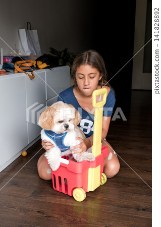 Girl sitting on floor with shih tzu dog in a plastic toy cart Girl sitting on floor with shih tzu dog in a plastic toy cart 141828892