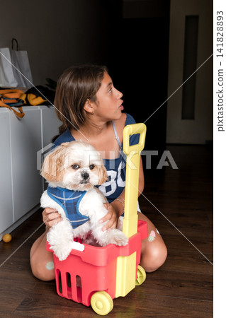 Girl sitting on floor with shih tzu dog in a plastic toy cart Girl sitting on floor with shih tzu dog in a plastic toy cart 141828893