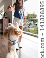 Little fluffy dog jumping up to catch a treat from a young girl 141828895