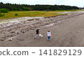 A couple enjoying a pleasant stroll along the beach with their white Shiba Inu. 141829129