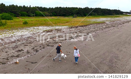 一對夫婦帶著他們的白色柴犬在海灘邊悠閒漫步。 一對夫婦帶著他們的白色柴犬在海灘邊悠閒漫步。 141829129