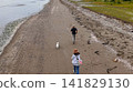 A couple enjoying a pleasant stroll along the beach with their white Shiba Inu. 141829130