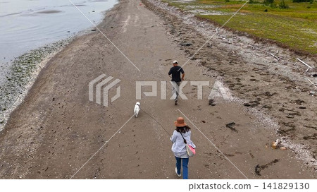 一對夫婦帶著他們的白色柴犬在海灘邊悠閒漫步。 一對夫婦帶著他們的白色柴犬在海灘邊悠閒漫步。 141829130