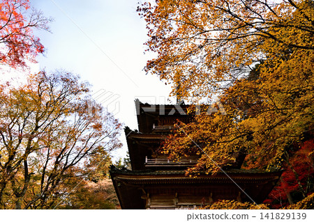 A beautiful late autumn landscape with colorful foliage. A beautiful late autumn landscape with colorful foliage. 141829139