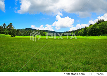 Blue sky, white clouds, Oze Marshland, a summer scene Blue sky, white clouds, Oze Marshland, a summer scene 141829202