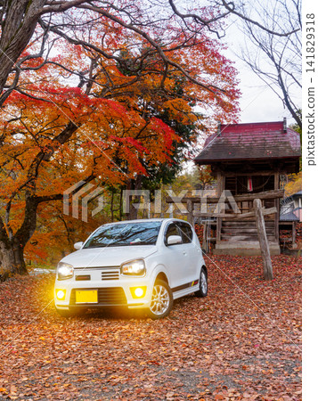 A minicar, a shrine, and autumn A minicar, a shrine, and autumn 141829318
