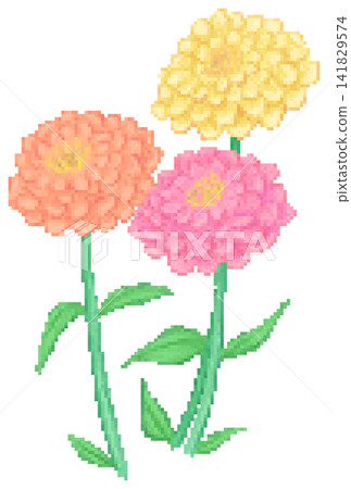 Zinnia flower in pixel art 141829574