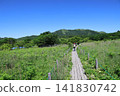 Hiking on a clear day in the Yashimagahara Marshland in Kirigamine, Nagano Prefecture, walking along the boardwalk. 141830742