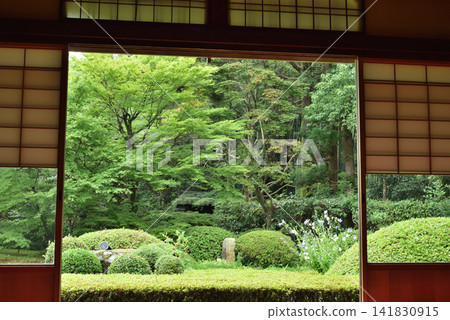 雲龍院:從大林之間房間看到的夏日庭園景色(京都市東山區) 雲龍院:從大林之間房間看到的夏日庭園景色(京都市東山區) 141830915