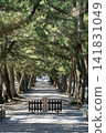 The approach of Izumo Taisha's pine 141831049
