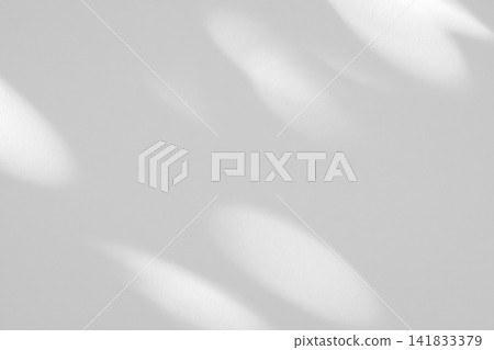 Abstract natural tree leaves shadow on white wall background Abstract natural tree leaves shadow on white wall background 141833379