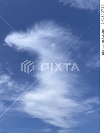 White, feather-like clouds spread across the blue sky. White, feather-like clouds spread across the blue sky. 141833736