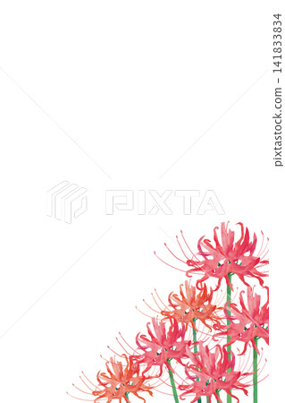 Watercolor painting of red spider lilies (vertical background material) Watercolor painting of red spider lilies (vertical background material) 141833834