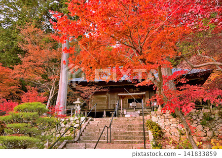 A beautiful late autumn landscape with colorful foliage. A beautiful late autumn landscape with colorful foliage. 141833859