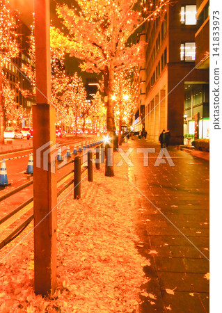 The winter ginkgo trees and nighttime streets of Osaka's Midosuji Avenue, adorned with illuminations. The winter ginkgo trees and nighttime streets of Osaka's Midosuji Avenue, adorned with illuminations. 141833973