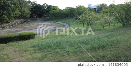 選圖:聖心中央公園的雜草在烈日下枯萎 選圖:聖心中央公園的雜草在烈日下枯萎 141834003
