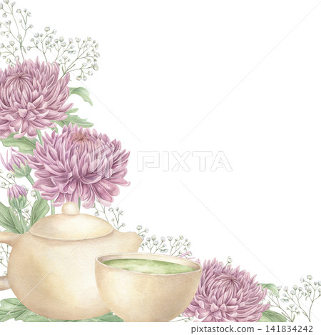 Watercolor teapot and matcha cup with purple chrysanthemum flower isolated illustration. freshness of herbal infusion, pot and floral petals composition for tea and wellness card, invitation design Watercolor teapot and matcha cup with purple chrysanthemum flower isolated illustration. freshness of herbal infusion, pot and floral petals composition for tea and wellness card, invitation design 141834242