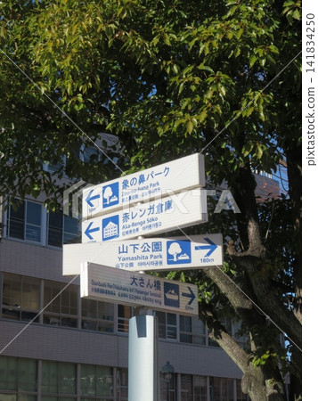 導板 導板 141834250