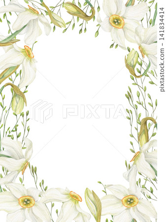Narcissus flower vertical frame with white daffodils, meadow grasses. Hand drawn blooming flowers border with copy space for text. Botanical spring decor for book covers, stationery design Narcissus flower vertical frame with white daffodils, meadow grasses. Hand drawn blooming flowers border with copy space for text. Botanical spring decor for book covers, stationery design 141834414