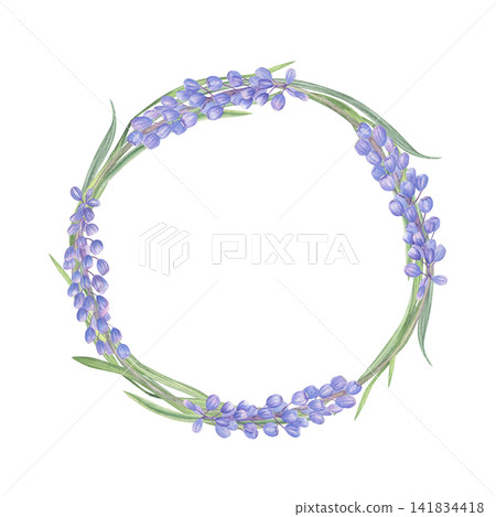 Muscari flower wreath hand drawn watercolor illustration. Round floral frame with blue grape hyacinth for wedding invitation or greeting card design. Spring botanical decorative element. Muscari flower wreath hand drawn watercolor illustration. Round floral frame with blue grape hyacinth for wedding invitation or greeting card design. Spring botanical decorative element. 141834418