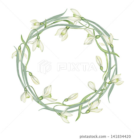 Snowdrop flower wreath on isolated background. Watercolor spring floral garland botanical illustration with copy space for text. Nature design for wedding invitation, greeting card or Easter. 141834420