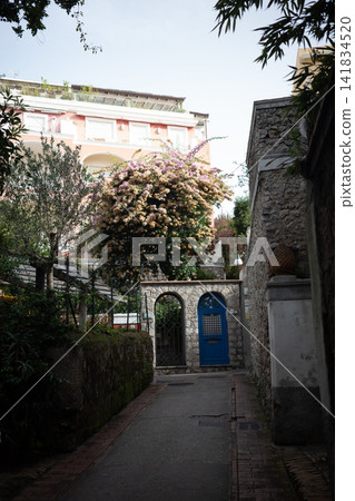 A blue door arch surrounded by blooming bougainvillea. A blue door arch surrounded by blooming bougainvillea. 141834520
