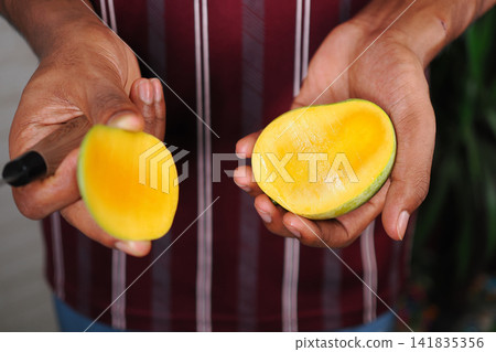Cut mango shown in hands during bright indoor setting 141835356