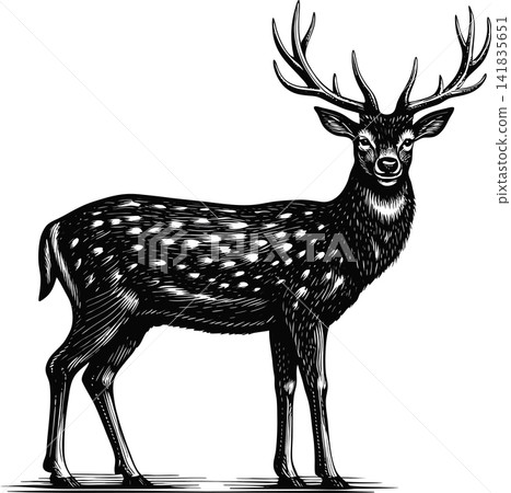 Silhouette of a deer with antlers in profile with spots. Silhouette of a deer with antlers in profile with spots. 141835651