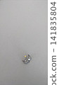 Molar filling. Palladium alloy. 141835804
