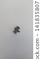 Molar filling. Palladium alloy. 141835807