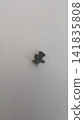 Molar filling. Palladium alloy. 141835808