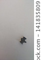 Molar filling. Palladium alloy. 141835809