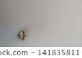 Molar filling. Palladium alloy. 141835811