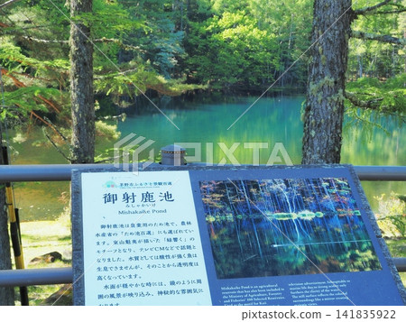 長野縣:五月,三重池畔綠意盎然的路標 長野縣:五月,三重池畔綠意盎然的路標 141835922