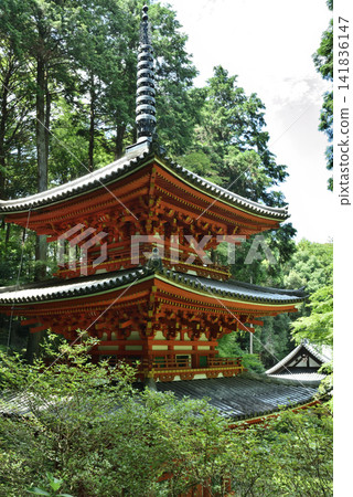 Iwashiro-ji Temple in summer: The three-story pagoda and the main hall (Kizugawa City, Kyoto Prefecture) Iwashiro-ji Temple in summer: The three-story pagoda and the main hall (Kizugawa City, Kyoto Prefecture) 141836147