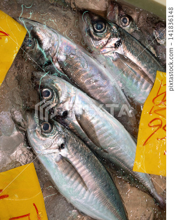 市面上擺放著新鮮的竹莢魚。 141836148