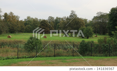 Round Hay Bales Scattered Across a Lush Green Meadow Under an Overcast Sky 141836567