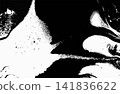 Abstract Ink Marble Black and White Grunge Vector Texture 141836622