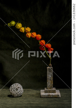 Still life with a Physalis branch on a pedestal Still life with a Physalis branch on a pedestal 141836662