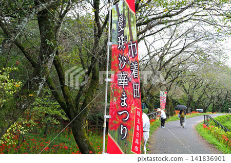 Banners for the Red Spider Lily Festival at Kinchakuda Red Spider Lily Park (Hidaka City, Saitama Prefecture) Banners for the Red Spider Lily Festival at Kinchakuda Red Spider Lily Park (Hidaka City, Saitama Prefecture) 141836901