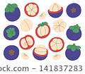 Mangosteen collection in various variants. Mangosteen set with whole fruit and pieces. Longitudinal and transverse sections of tropical fruit mangosteen 141837283