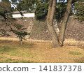 江戶城遺址、石牆與參天大樹 141837378