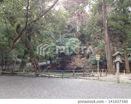這是三重縣某神社內部的一幕。 這是三重縣某神社內部的一幕。 141837380