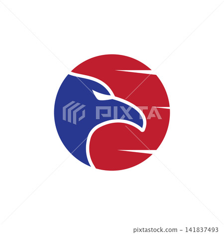 Falcon eagle bird Falcon eagle bird 141837493