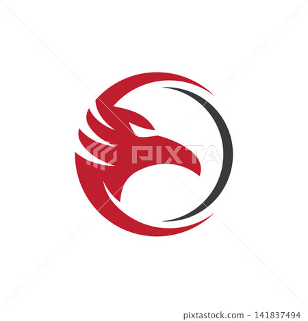 Falcon eagle bird Falcon eagle bird 141837494