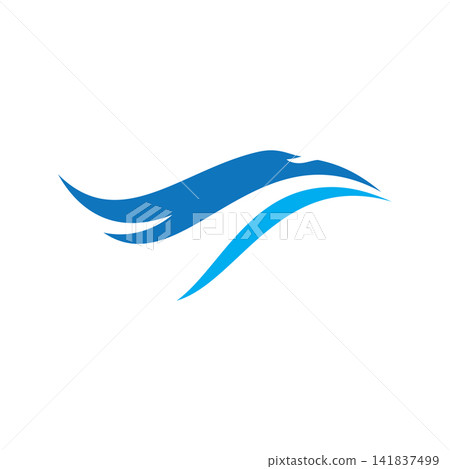Falcon eagle bird 141837499